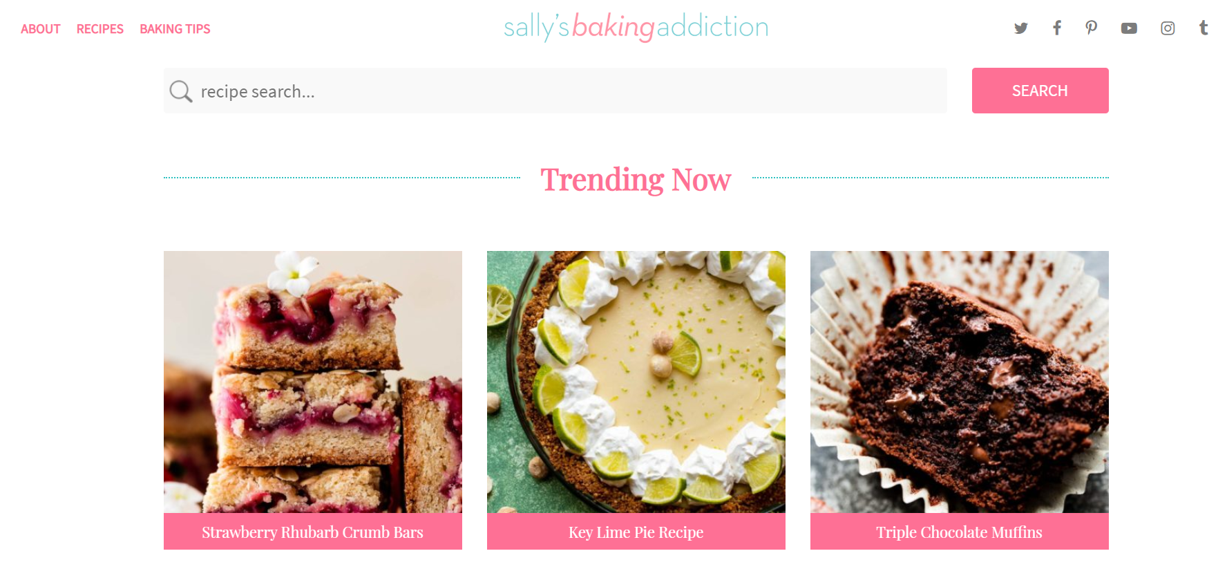 sally baking addiction